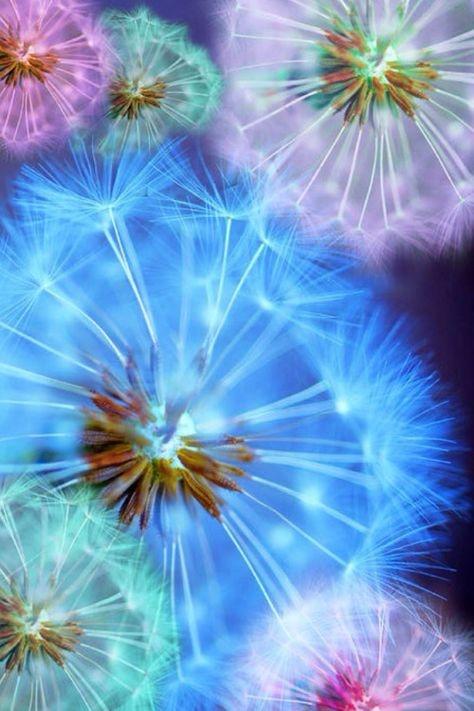 Флудилка: Для вдохновения - fractal art - фрактальное искусство (много фото)