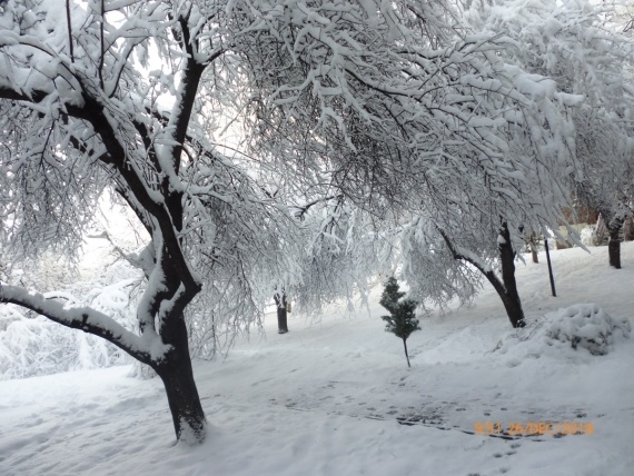 О жизни: Из снежной Турции - с теплом :)