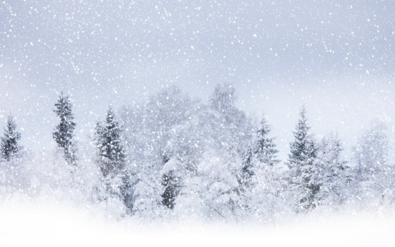 Зимняя Феерия 2015: Новости и объявления Бусинки: Конкурс - Зимняя феерия