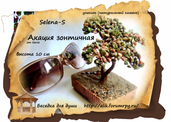 Альбом пользователя Selena-s: Акация африканская.