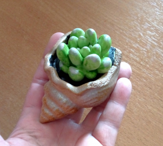 НЕбисерная лавка чудес: Суккуленты )) без полива и прочих танцев с бубном