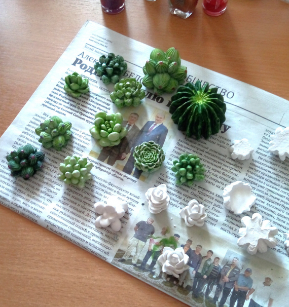 НЕбисерная лавка чудес: Суккуленты )) без полива и прочих танцев с бубном
