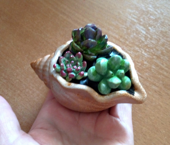 НЕбисерная лавка чудес: Суккуленты )) без полива и прочих танцев с бубном