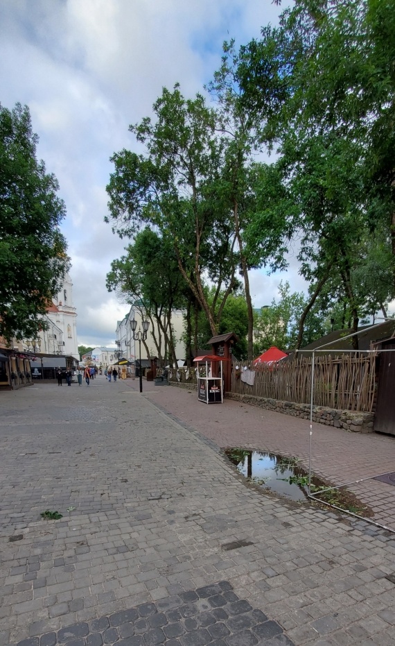 Флудилка: Пролог и начало Славянки