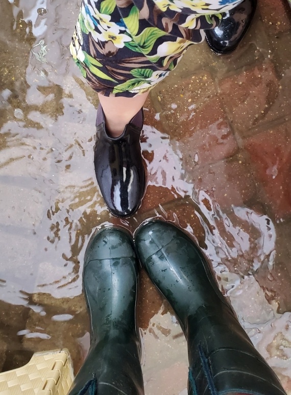 Флудилка: Пролог и начало Славянки