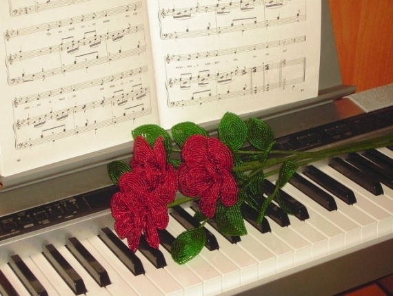 Альбом пользователя Lipka: Мои розы