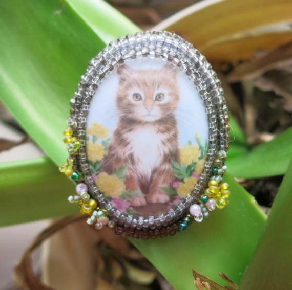 Альбом пользователя Marja: Когда-то все были котятами