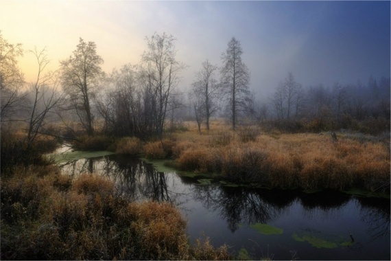 НЕбисерная лавка чудес: О фотографии: Талантливый фотограф