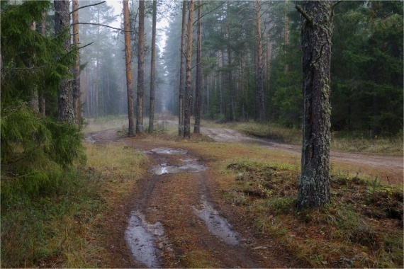 НЕбисерная лавка чудес: О фотографии: Талантливый фотограф