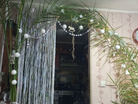 Флудилка: Моя ёлочка