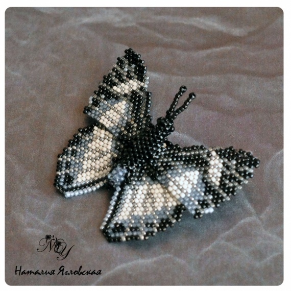 Альбом пользователя natyy: Пыльные бабочки