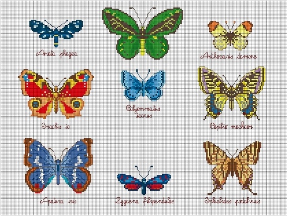 Схемы: Бабочки по канве