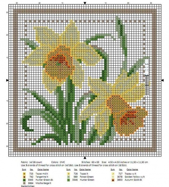 Схемы для вышивки: нарциссы