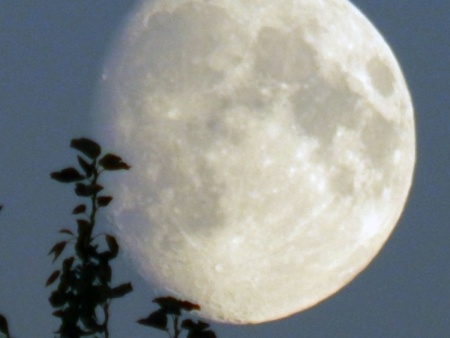 Флешмобы: Лунный спонтанный фото-флешмоб