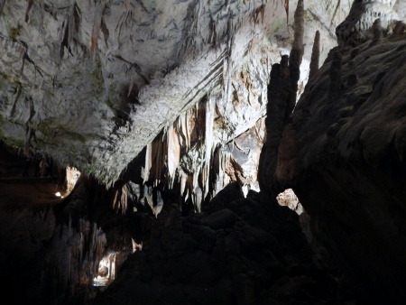 Путешествия: Хорватия. День шестой. Словения с бабочками, пещерой и замком в скале (очень много фото). Часть 1 - бабочки и пещера