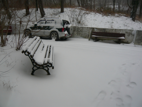 Флудилка: Зимушка! Ура!