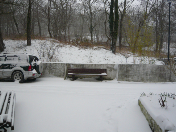 Флудилка: Зимушка! Ура!