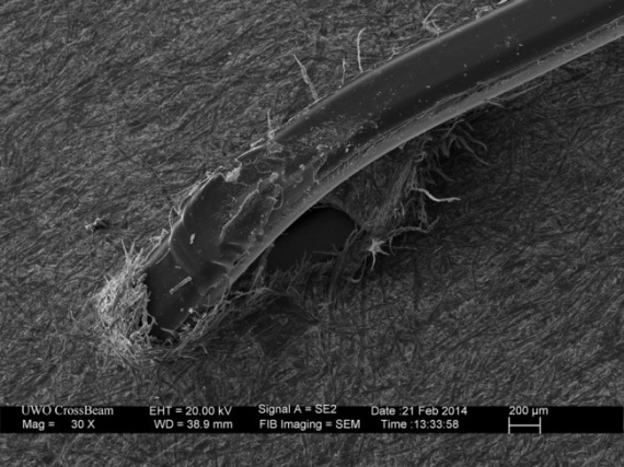 Флудилка: Микромир через микроскоп