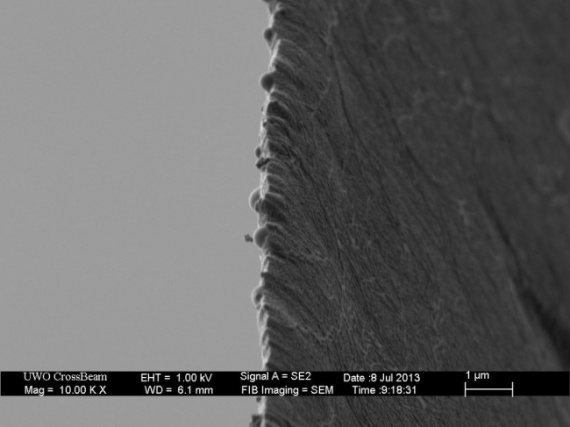 Флудилка: Микромир через микроскоп