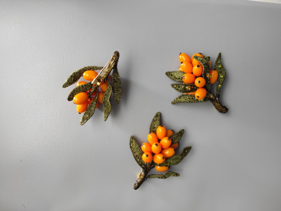 Альбом пользователя Светлана_Кошелева: Облепиха