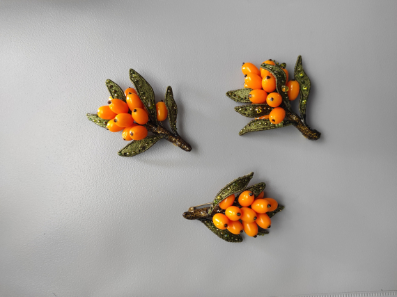 Альбом пользователя Светлана_Кошелева: Облепиха