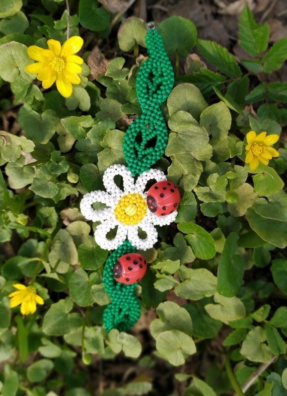 Альбом пользователя снг: Букашки на ромашке.