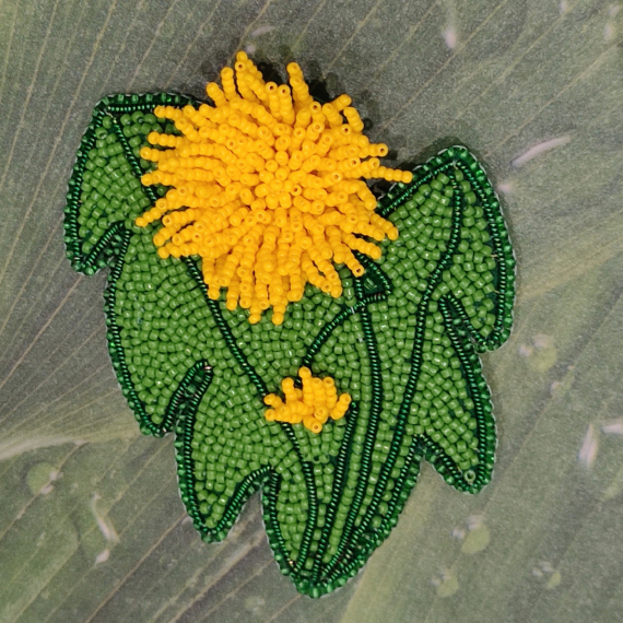 Альбом пользователя снг: Одуванчик