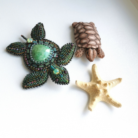 Альбом пользователя эмили: Черепахи