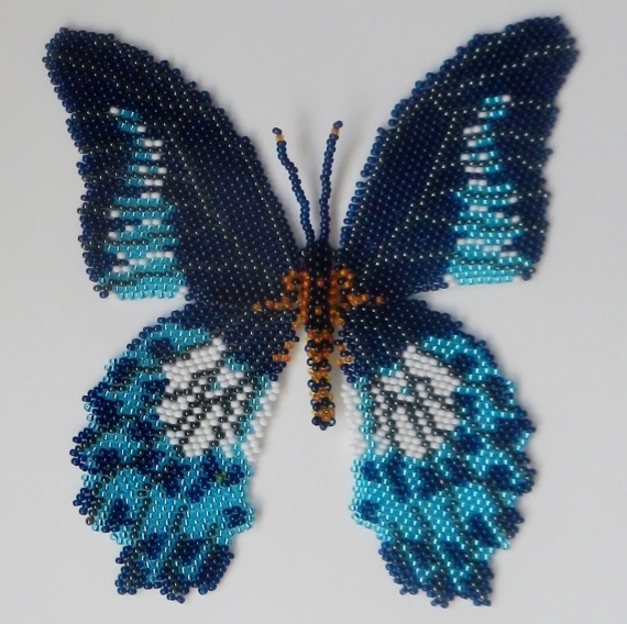 Альбом пользователя iazril: Моя первая большая бабочка Парусник Полимнестор