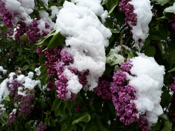 Флудилка: Весна, конечно, пришла. Но...