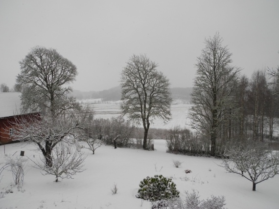 Флудилка: Первый день весны - какой он у вас?