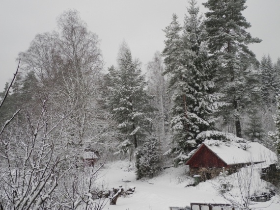 Флудилка: Первый день весны - какой он у вас?