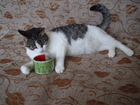 Альбом пользователя Липа: Зелёненький он был