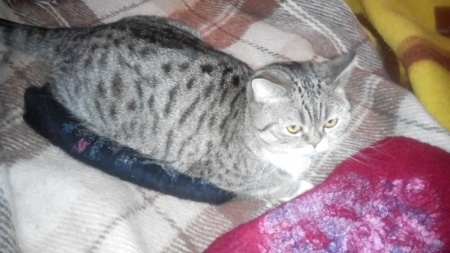 Флудилка: Мои валяшки