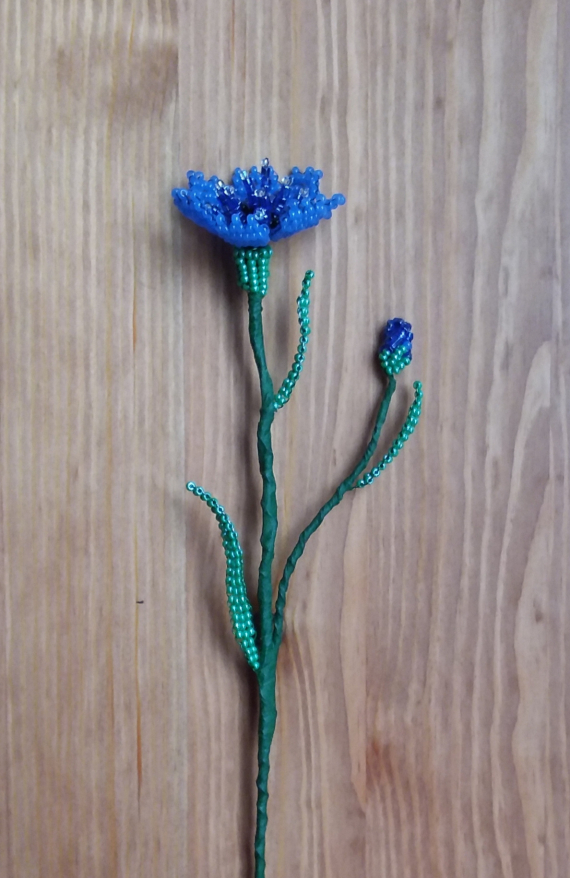 Альбом пользователя Olushka: Васильки номер два