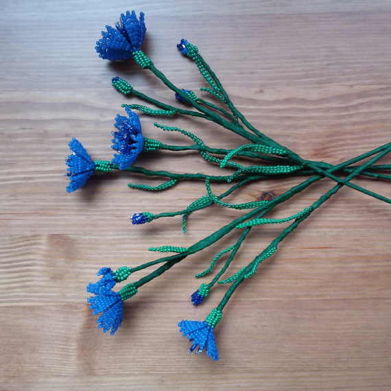 Альбом пользователя Olushka: Васильки номер два