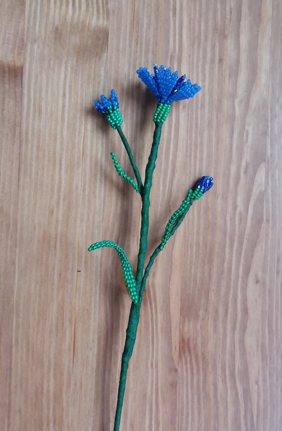 Альбом пользователя Olushka: Васильки номер два