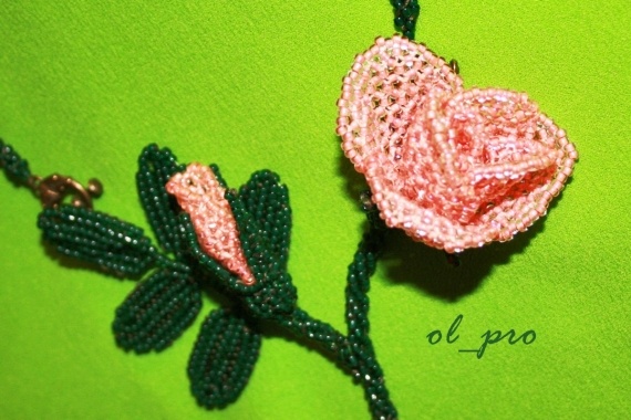 Альбом пользователя ol_pro: Роза