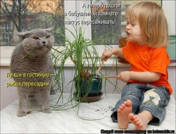 Юмор: Альбом пользователя arabella: Совершеннокотие... (котоматрица)