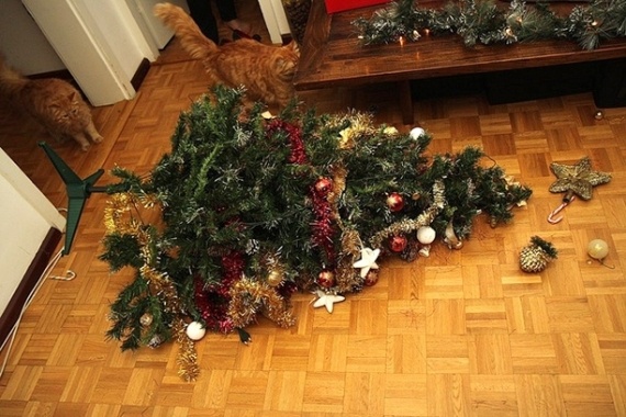 Флешмобы: Самое лучшее украшение для новогодней елки....