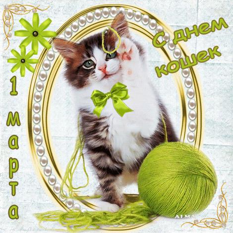 Флудилка: 1 марта - всемирный день кошек. Весна!!!!