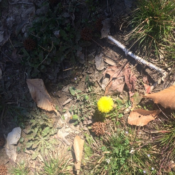 Флудилка: Блудная дочь вернулась )))