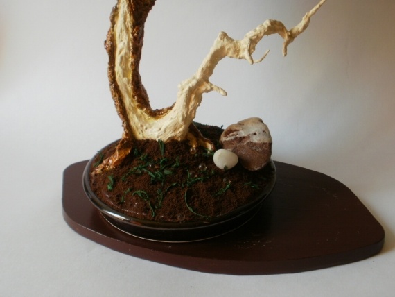 Альбом пользователя lararybka: Бонсай Учитель танцев