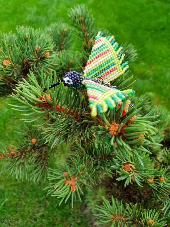 Альбом пользователя lararybka: Колибри