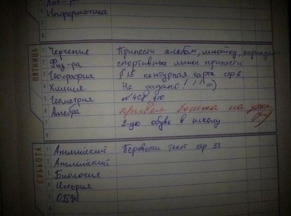 Юмор: Смешные, необычные и очень странные замечания, которые пишут учителя в дневниках школьников