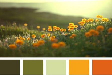 Альбом пользователя Марина_К: Осени цветовая палитра...