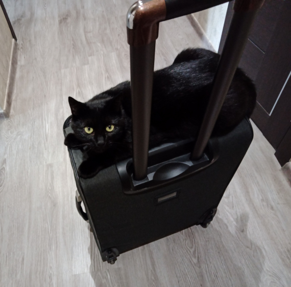 Альбом пользователя ЮлияТ: Сумеречный одуван