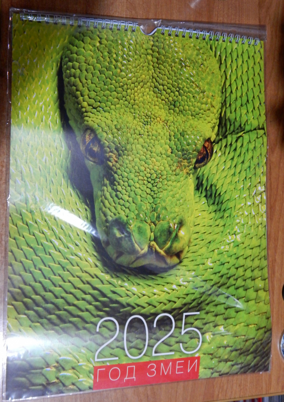 Флудилка: А нас опять обхулиганили!