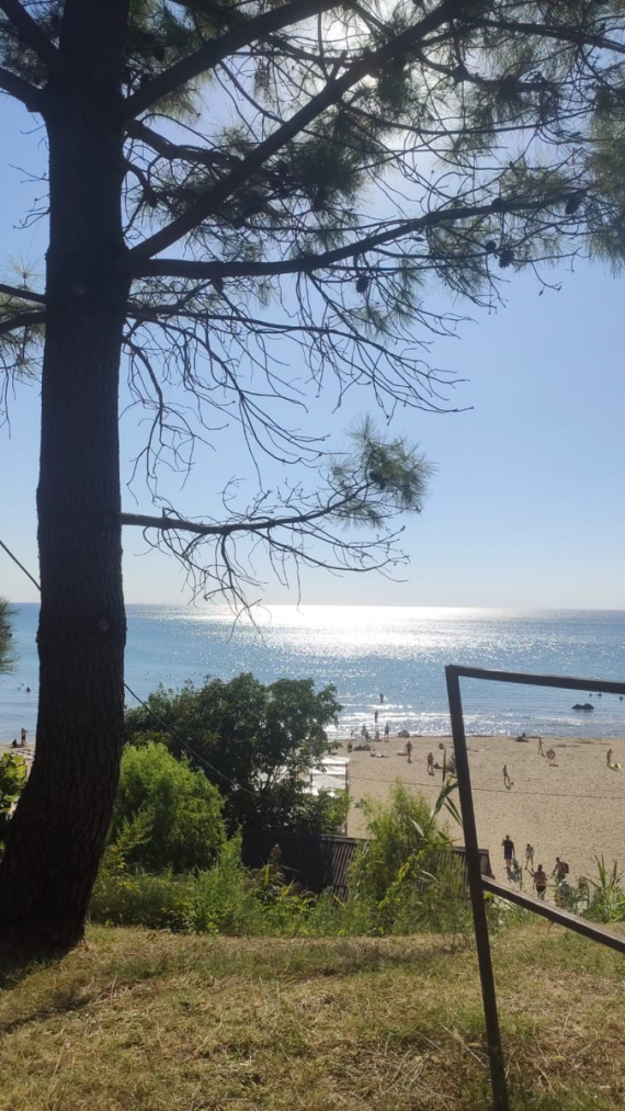 Альбом пользователя Мурлыкающая_Пантера: Кулон Пляхо