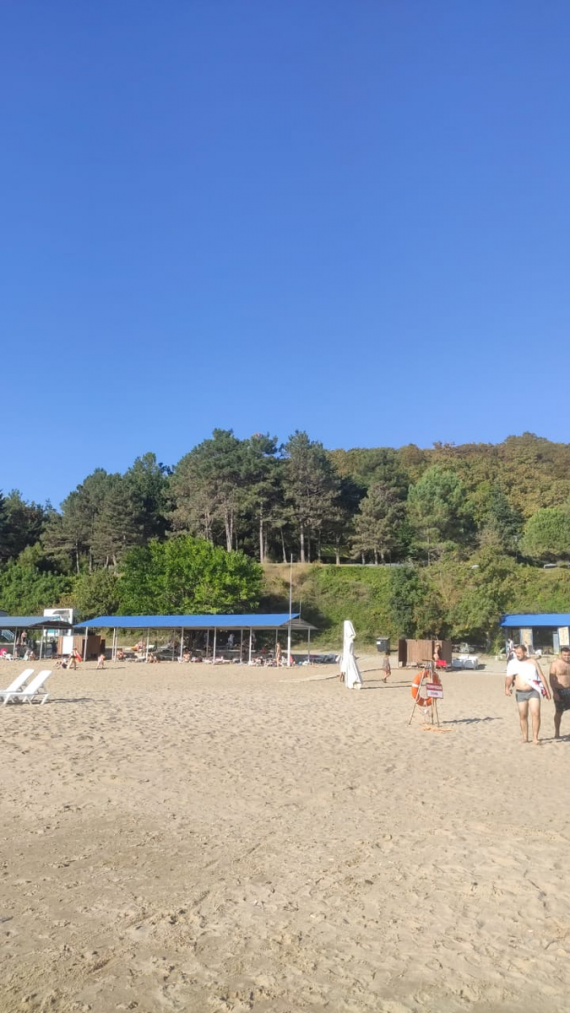 Альбом пользователя Мурлыкающая_Пантера: Кулон Пляхо